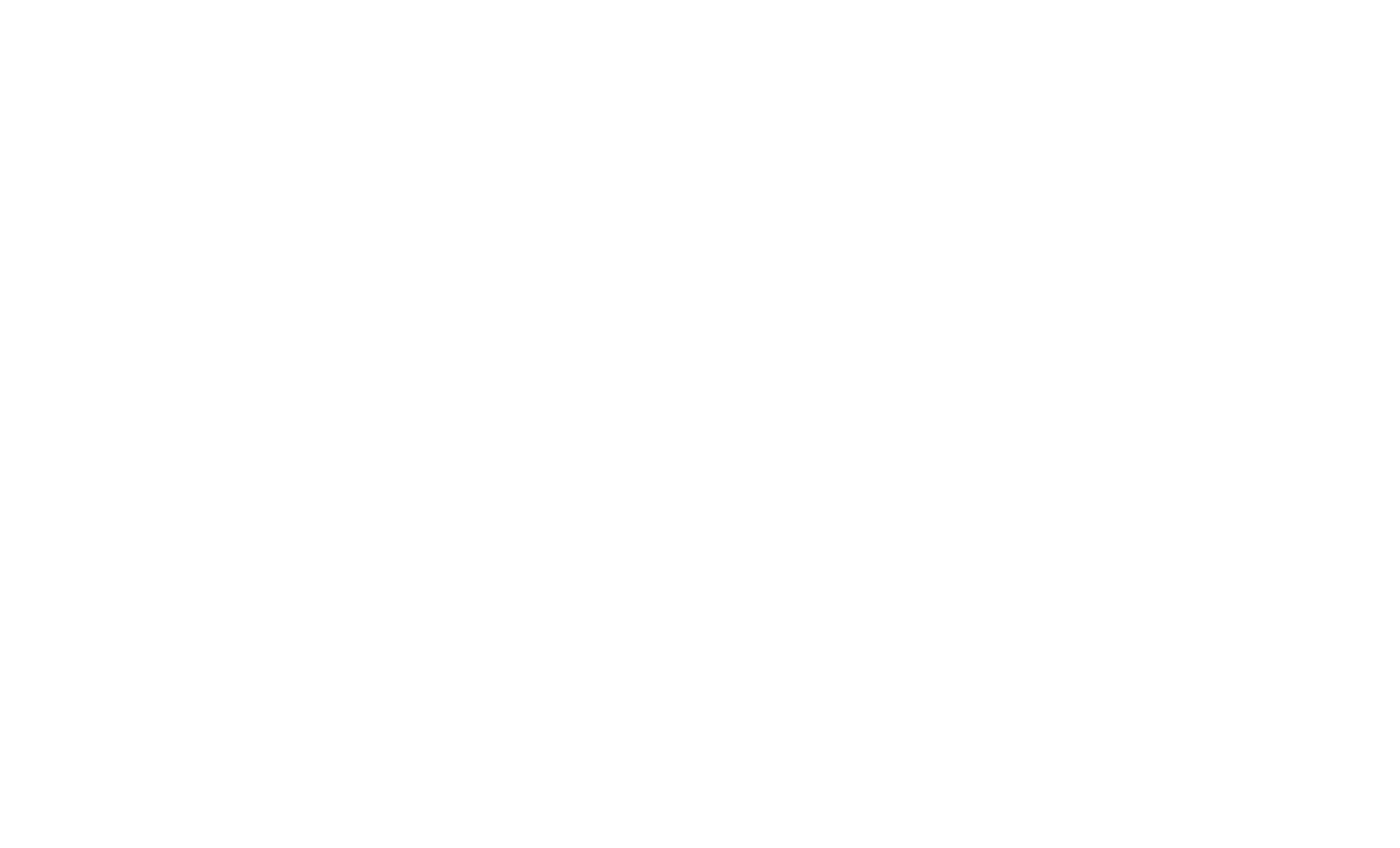 FINBRICKS